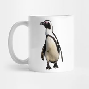 African Penguin Boulders Beach, Cape Town, South Africa Mug